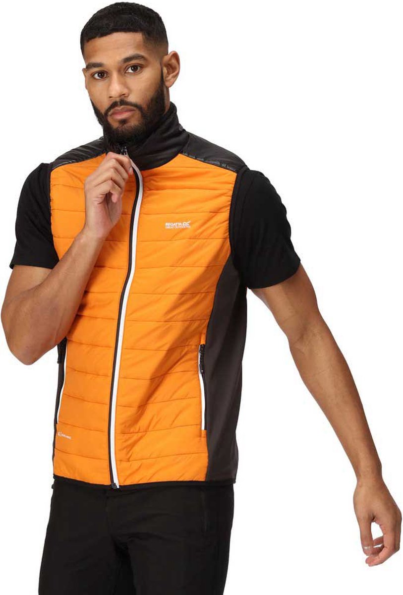 Regatta Halton Vii Vest Man Oranje