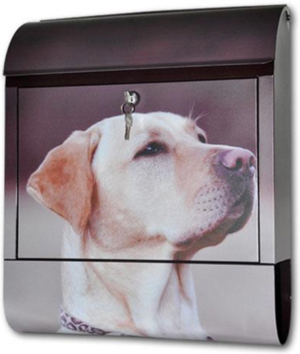 DBKF Labrador retriever stalen wandbrievenbus met slot en sleutels en blaffend hondengeluid - hond - kan op slot - aan muur - geschikt voor wandbevestiging - klep aan bovenzijde - stalen brievenbus - postbus