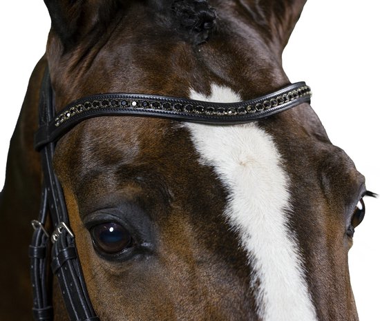 Trust Frontal Black Diamants - Noir/Argent - Taille Full