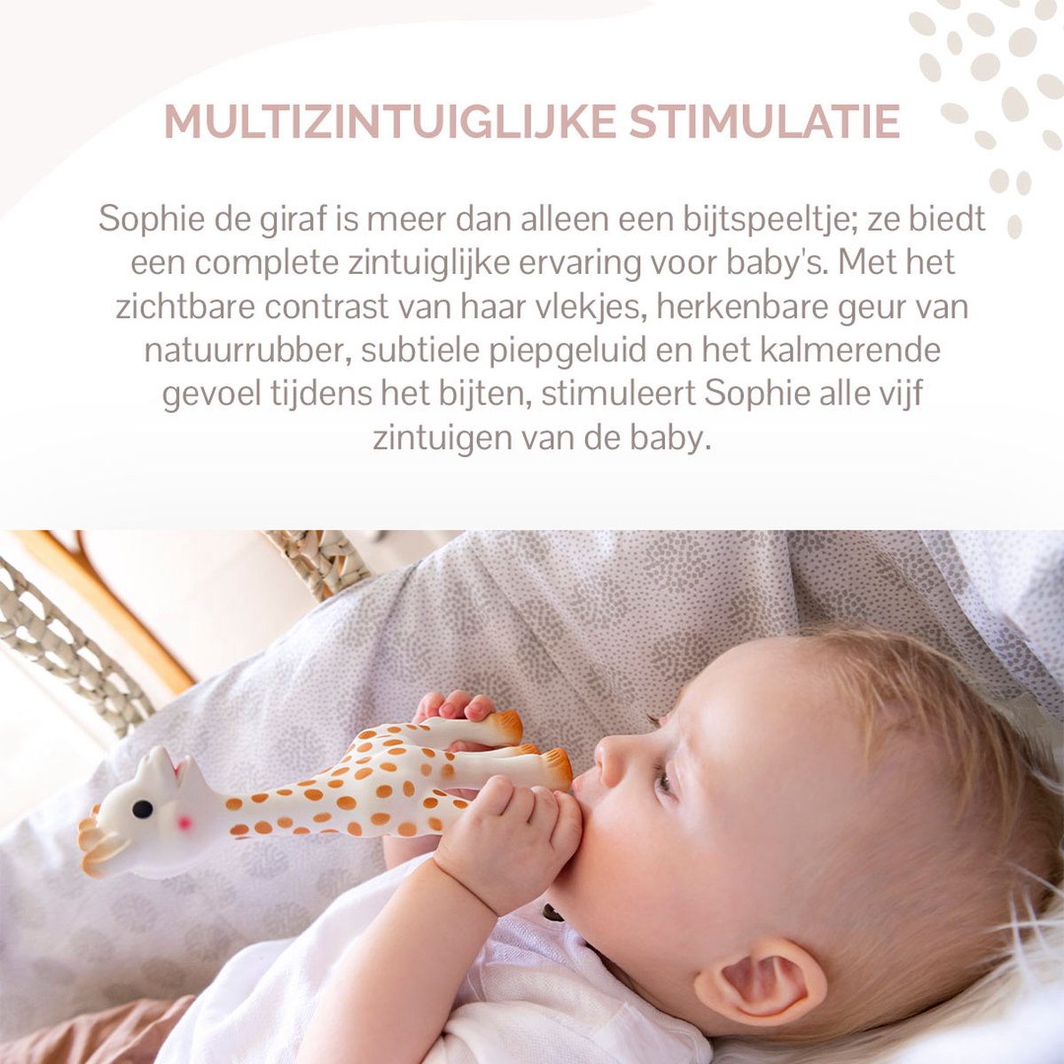 Sophie de giraf - Bijtspeeltje - Bijtspeelgoed - Baby speelgoed - Kraamcadeau - Babyshower cadeau - In wit geschenkdoosje - 100% natuurlijk rubber - Vanaf 0 maanden - 17 cm - Beige/Bruin — afbeelding 5