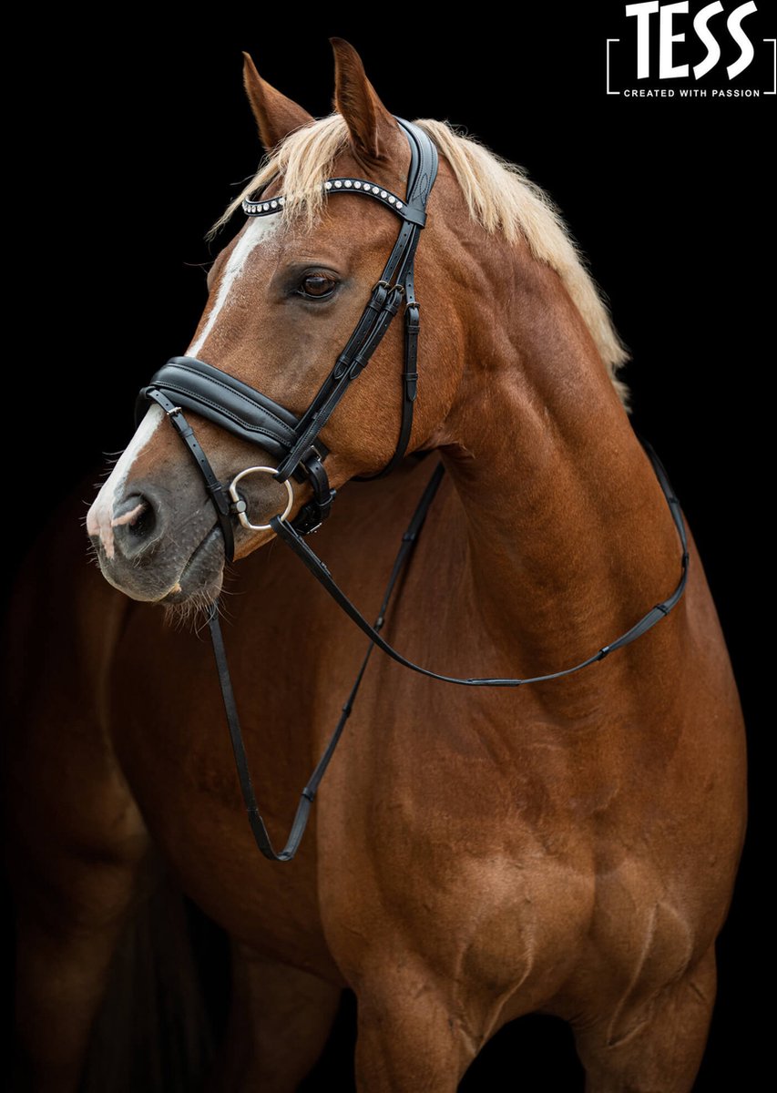Hoofdstel TESS Standaard trenshoofdstel Wide zwart/mat zwart maat Full