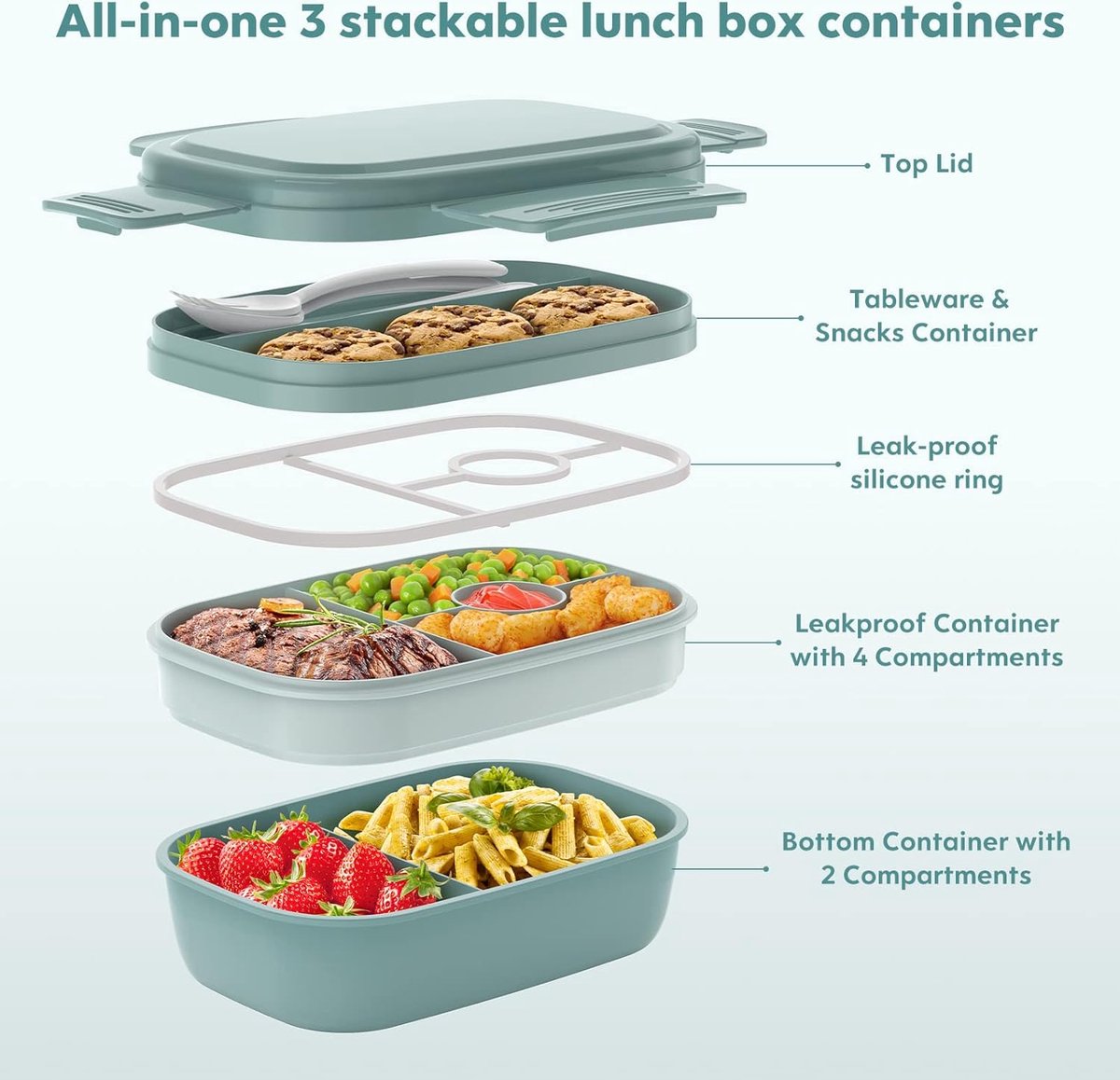 Box Container - lunchbox \ lunchbox adult