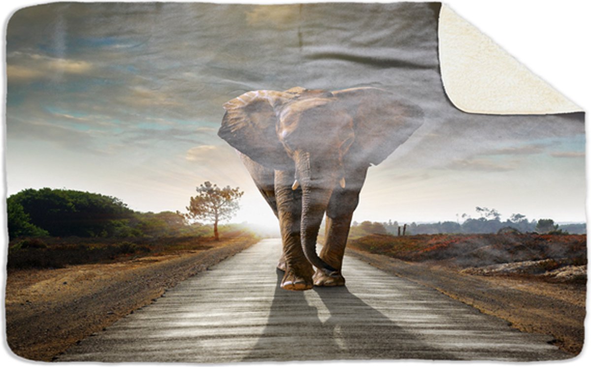 Fleecedeken Olifant, FD2023215, Plaid, 96x146cm, Polyester Sherpa