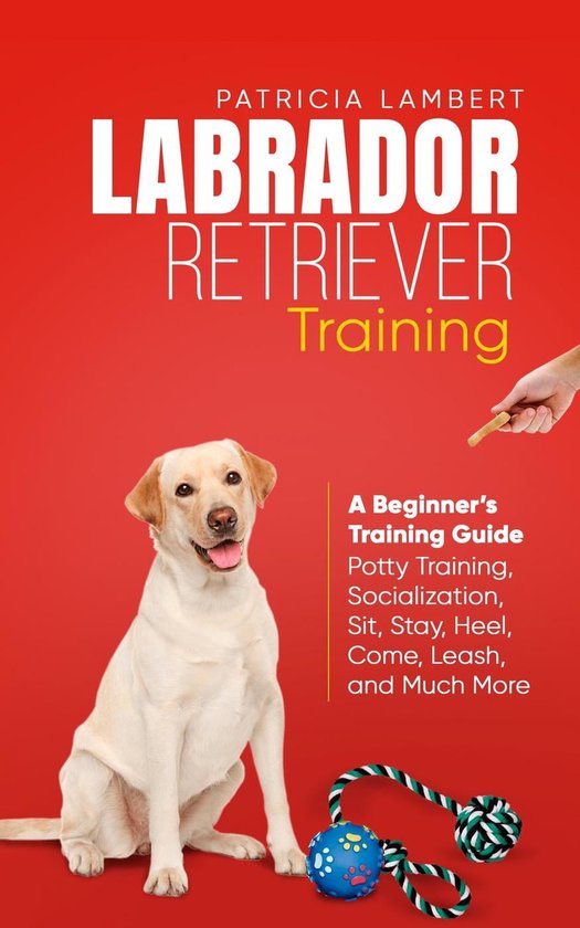 Smart Dog Training 2 Labrador Retriever Training A Beginner’s