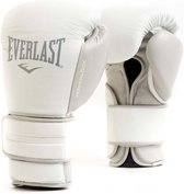 Gants d'entraînement Everlast Powerlock 2 Gloves et Loop