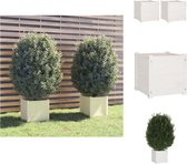 vidaXL Plantenbak - Hout - 40 x 40 x 40 cm - Set van 2 - Bloempot