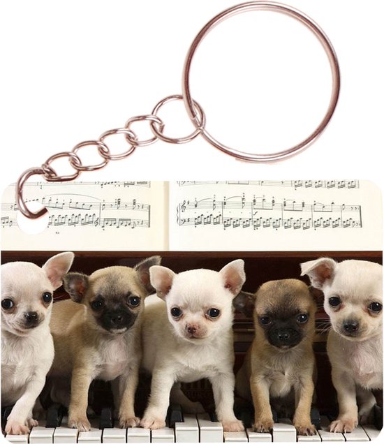 Sleutelhanger 6x4cm - Chihuahuas op Piano