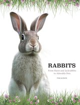Animals- Rabbits
