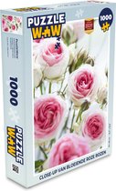 Puzzel Close-up van bloeiende roze rozen - Legpuzzel - Puzzel 1000 stukjes volwassenen