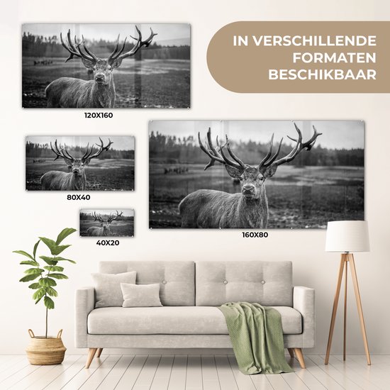 Tableau sur verre - Photo sur verre - Animaux - Cerf - Bois - Forêt - Nature - 120x60 cm - Verre acrylique - Décoration murale verre - Tableau sur verre cerf - Tableau sur verre animaux - Décoration d'intérieur