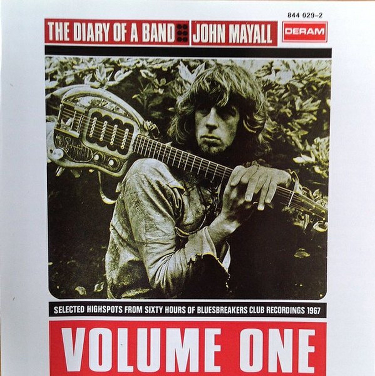 Diary of a Band, Vol. 1