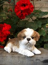 Puppy liggend Shih Tzu 11 cm hoog - polyester - polyresin - polystone - hoogkwalitatieve kunststof - decoratiefiguur - interieur - accessoire - voor binnen en buiten - cadeau - geschenk - tuinfiguur - tuinbeeldje - tuindecoratie
