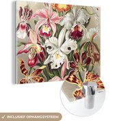 MuchoWow® Glasschilderij 120x90 cm - Schilderij acrylglas - Bloemen - Ernst Haeckel - Vintage - Orchidee - Foto op glas - Schilderijen