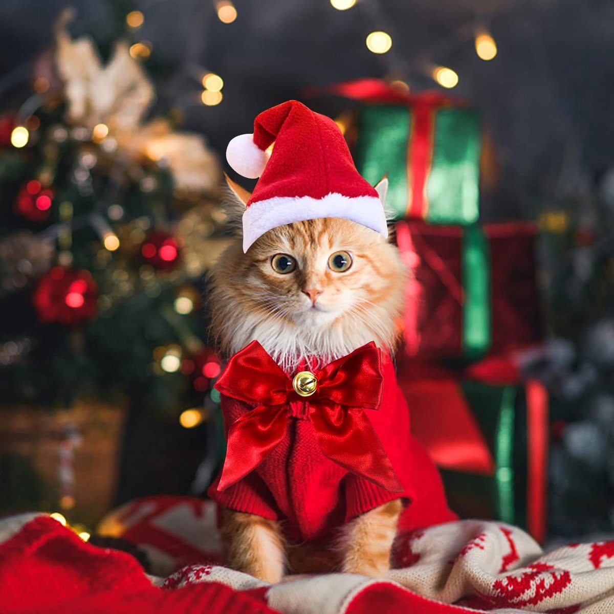 Kerst Hoofddeksel Voor Hond - Kerstmuts, Gewei Hoofdband, Haarspeld - Huisdier Decor Voor Puppy, Honden, Kat - Vakantie Zendspoel Kerst Hoofddeksel Voor Hond - Kerstmuts, Gewei Hoofdband, Haarspeld - Huisdier Decor Voor Puppy, Honden, Kat - Vakantie Zendspoel