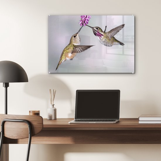Un mâle et une femelle colibri calliope Plexiglas 60x40 cm - Tirage photo sur Glas (décoration murale plexiglas)