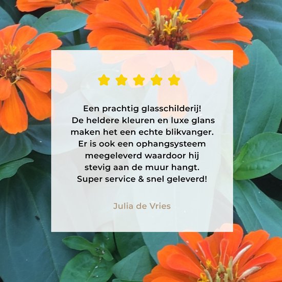 Fleurs de zinnia Oranje avec feuilles vertes Plexiglas 80x60 cm - Tirage photo sur Glas (décoration murale plexiglas)