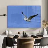 MuchoWow® Glasschilderij 90x60 cm - Schilderij acrylglas - Prachtige foto van een zilvermeeuw die aan het vliegen - Foto op glas - Schilderijen