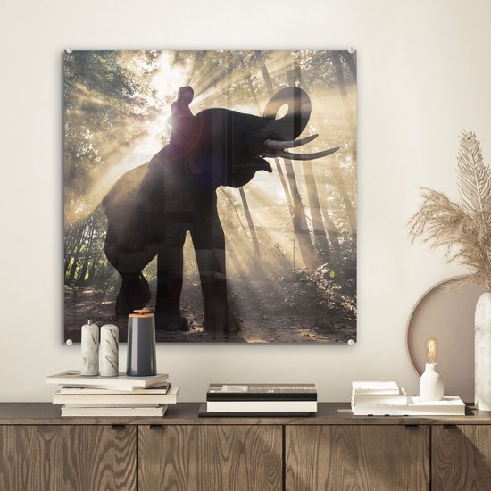 Peinture sur Verre - Éléphant avec Personne en Plein Soleil - 50x50 cm - Peintures sur Verre Peintures - Photo sur Glas