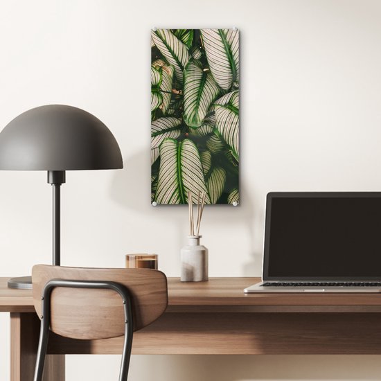 MuchoWow® Peinture sur verre 20x40 cm - Peinture acrylique sur verre - Feuilles - Plante - Vert - Photo sur verre - Peintures