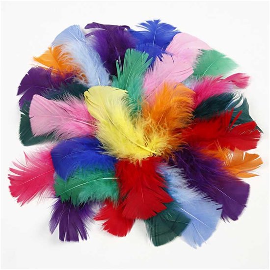 Plumes, dim. 7-8 cm, couleurs assorties, 50 gr