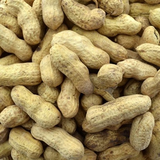 Wielink Pinda’s in dop 10 kg