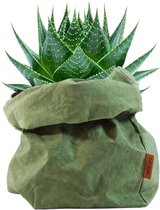 de Zaktus - Aloe Cosmo - vetplant - UASHMAMA® paper bag donker groen - Maat M