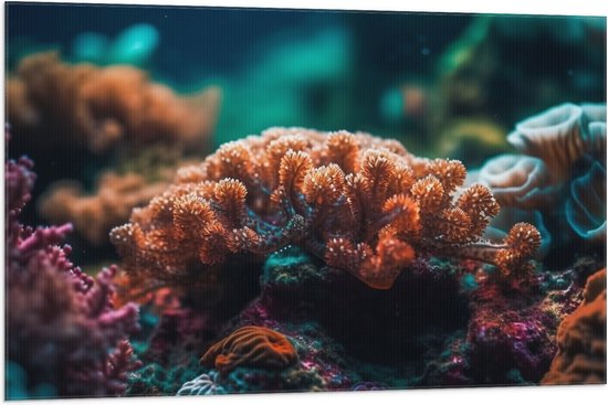 Vlag - Oceaan - Zee - Koraal - Kleuren - 105x70 cm Foto op Polyester Vlag