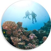 PVC Schuimplaat Muurcirkel - Oceaan - Zee - Duikers - Koraal - Vissen - 50x50 cm Foto op Muurcirkel (met ophangsysteem)