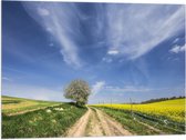 Vlag - Landschap - Boom - Natuur - Bloemen - Gras - 80x60 cm Foto op Polyester Vlag