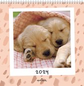 Honden Maandkalender 2024