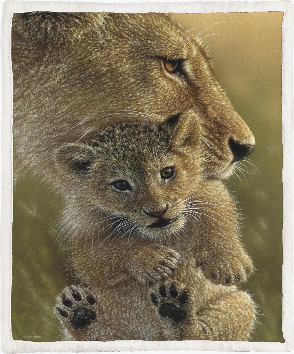 The Coloured House - Fleece Deken Mother’s Pride - 150 x 200 cm - Sherpa - Collin Bogle