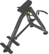 Evolve Fitness PR-231 - T-Row Machine - Plate Loaded - Voor sportscholen, sportorganisaties of thuisfitnessruimtes