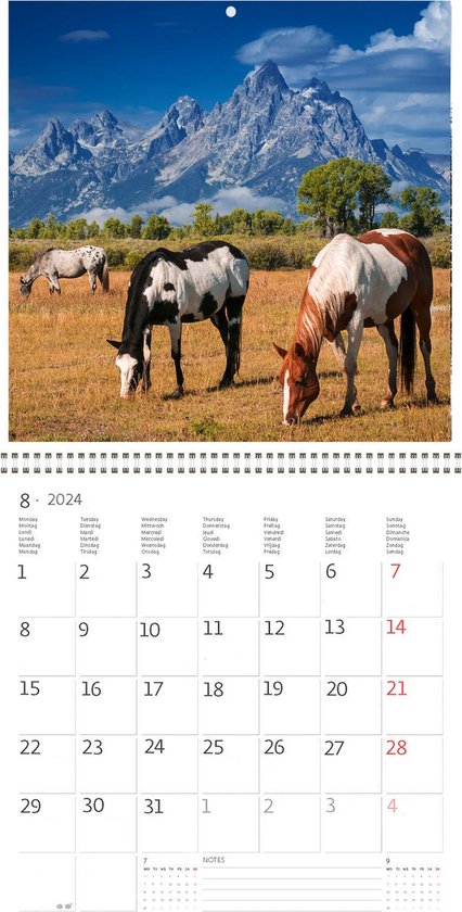 Calendrier Horse and Hunk 2024 - calendrier cheval - calendrier