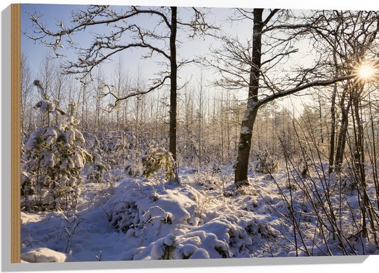 Hout - Landschap - Winter - Bomen - Planten - Sneeuw - Zon - 75x50 cm - 9 mm dik - Foto op Hout (Met Ophangsysteem)