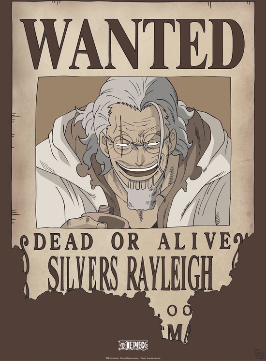 Poster One Piece Wanted Rayleigh 38x52cm