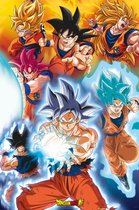Poster Dragon Ball Super Gokus transformations 61x91,5cm