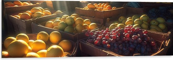 Dibond - Markt - Groente - Fruit - Kratten - 120x40 cm Foto op Aluminium (Wanddecoratie van metaal)