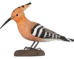Houten vogel - Europese hop