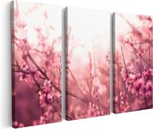 Artaza Canvas Schilderij Drieluik Roze Bloesemboom Met Zonneschijn - 60x40 - Klein - Foto Op Canvas - Canvas Print