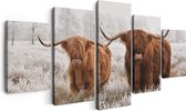 150 cm x 80 cm