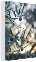Olives dans un olivier 90x140 cm - Tirage photo sur toile (Décoration murale salon / chambre)