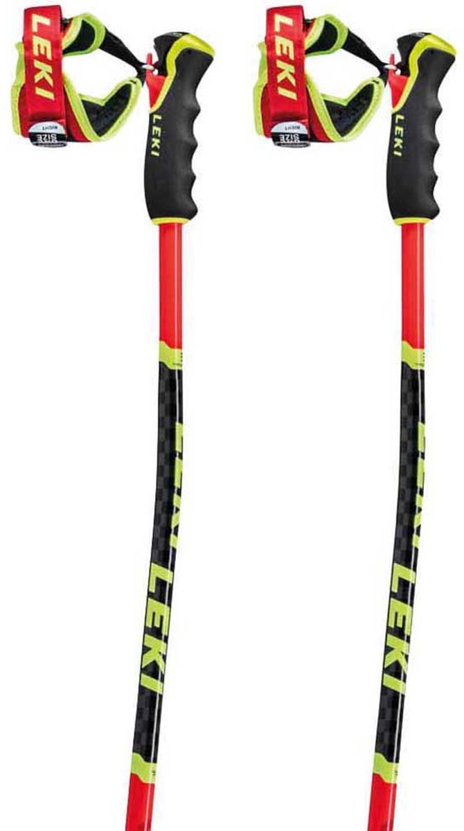Leki Alpino Wcr Tbs Gs 3d Stokken Veelkleurig 110 cm