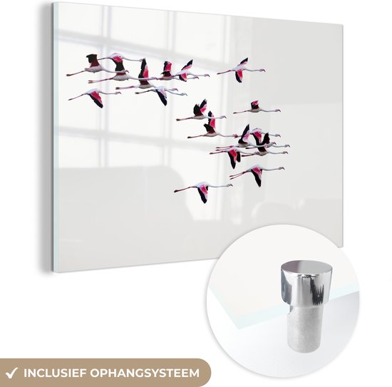 MuchoWow® Glasschilderij 90x60 cm - Schilderij acrylglas - Een zwerm flamingo's vliegt door de lucht - Foto op glas - Schilderijen