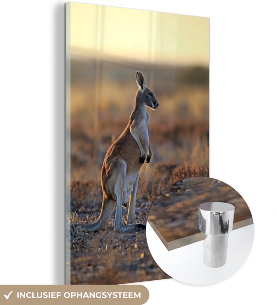 MuchoWow® Glasschilderij 20x30 cm - Schilderij acrylglas - Kangoeroe - Lucht - Landschap - Foto op glas - Schilderijen