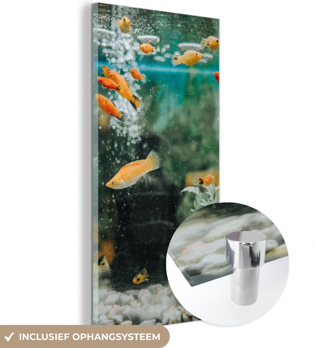 ® Glasschilderij 80x160 cm - Schilderij acrylglas - Kleine visjes in een aquarium - Foto op glas - Muurdecoratie woonkamer - Wanddecoratie slaapkamer - Schilderijen