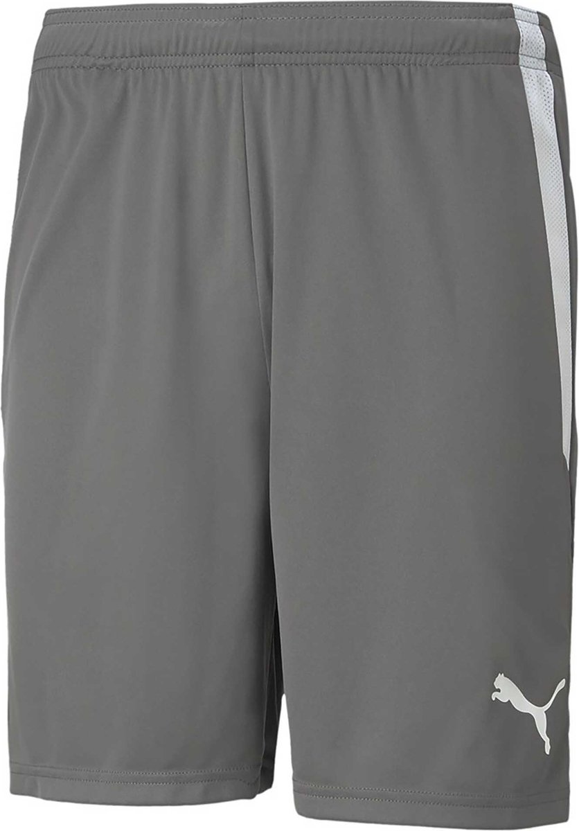 Puma Teamliga Short Heren - Grijs | Maat: S