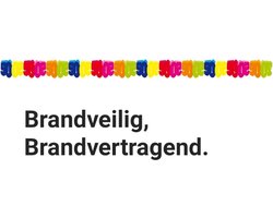 Slinger cijfer 50 Brandvertragend/ Brandveilig, Verjaardag, Sarah/ Abraham, Jubileum.