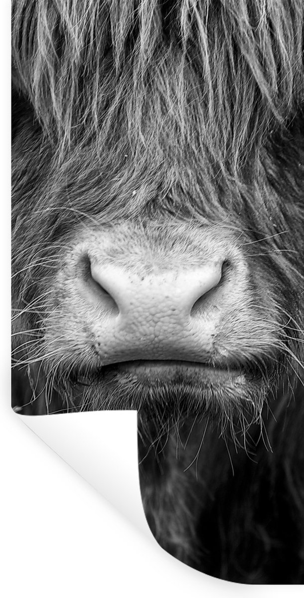 Muurstickers - Sticker Folie - Schotse hooglander - Koe - Zwart - Wit - Dieren - 40x80 cm 