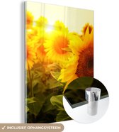Glasschilderij - Muurdecoratie bloemen - Zonnebloem - Geel - Bloem - Glasschilderij bloemen - Foto op glas - Glazen schilderij - Acrylglas - Wanddecoratie - 120x160 cm - Schilderijen woonkamer