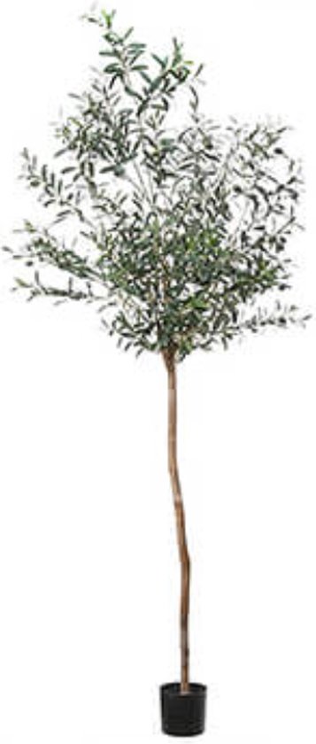 Kunstplant - olijfboom - kamerplant - by Mooss - Hoogte 210 cm
